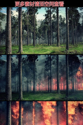 ����ɭ����Ƶ�ز�