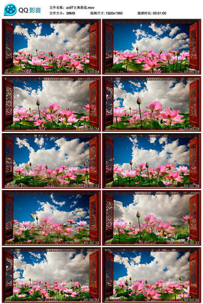 古典荷花舞台背景 古典荷花舞台背景