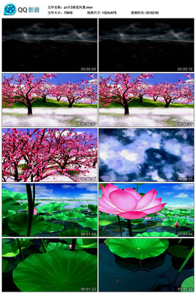 �ɻ��羰���ᱳ��