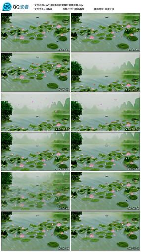 ������Ҷ������Ƶ