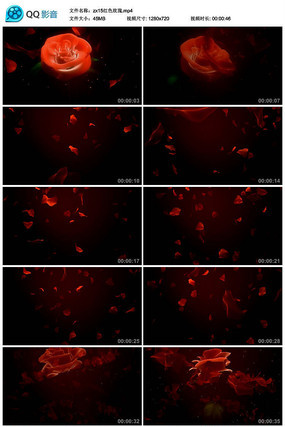 ��ɫõ�屳����Ƶ