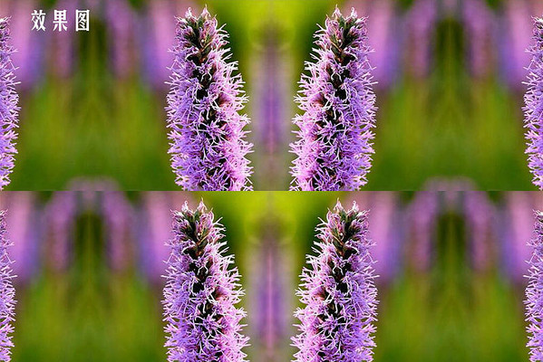 �羰������Ч