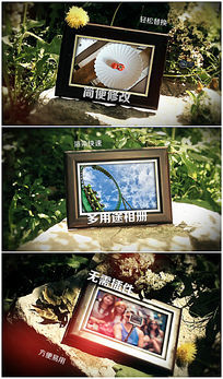 ��ʳ�����