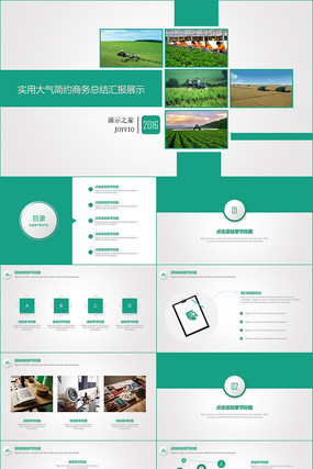 ɫʵôԼܽ㱨Ŀչʾģ