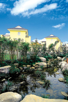 别墅水景小溪景观