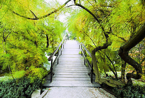 ��·����