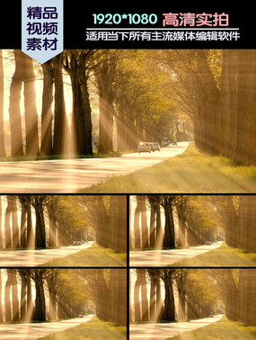 ��·�����ֹ�����Ƶ�ز�