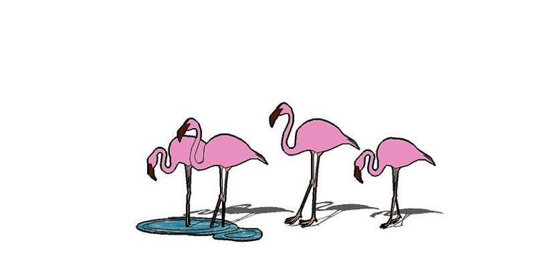 ������ skp