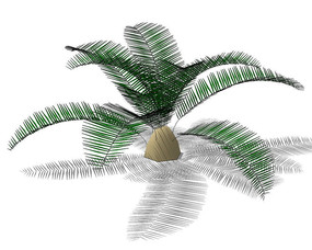 ����SUģ��