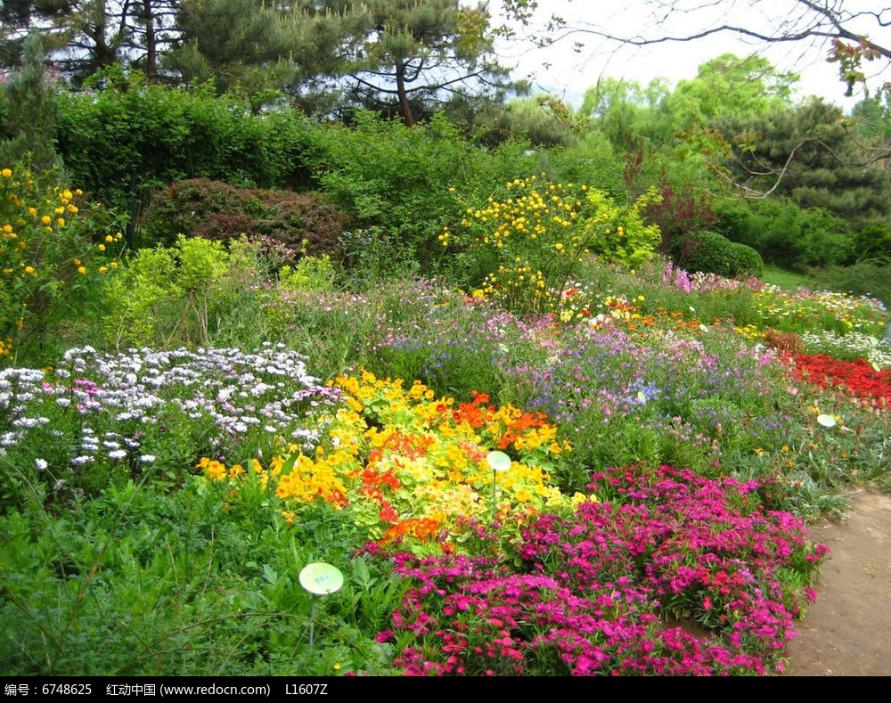 大片彩色花镜jpg素材下载(编号6748625)_红动网