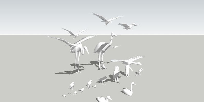 飞禽鸟类 飞禽鸟类