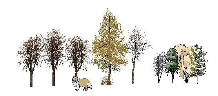 ������ SUģ�� skp