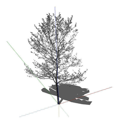 ������ skp