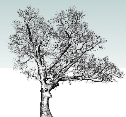 ѩ��SUģ�� skp