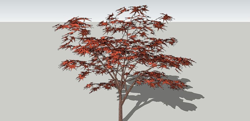 ������ skp