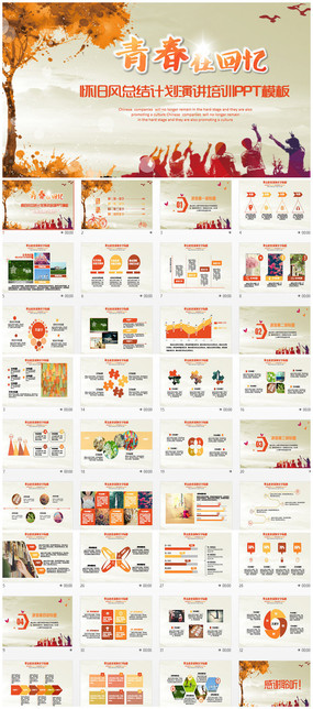 ���������ܽ�ƻ�PPT