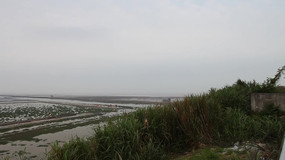 ʪ��ʵ���ز�