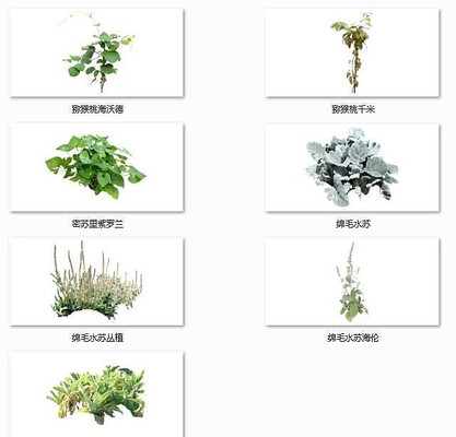 ˮ����ëˮ�� skp