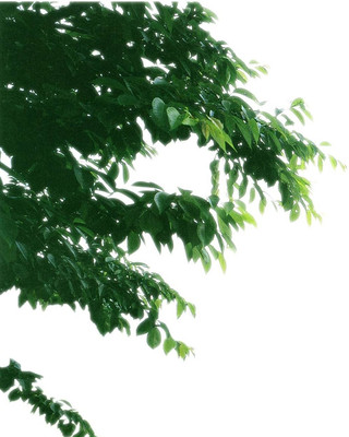 �λ�����