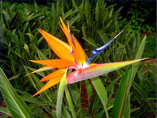 ���ܺ�����