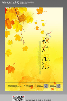 ���쵽��������������