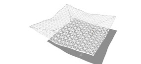 ����Ĥ������ skp