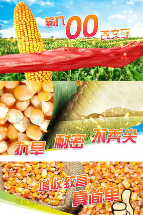 ���汾ũҵ�����������ӹ��AEģ��