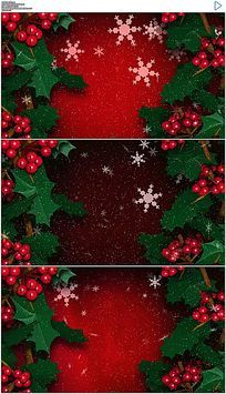 ��ɫʥ���ڱ�����Ƶ�ز�