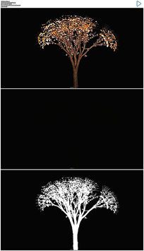 С�������ɴ�����Ƶ�ز�