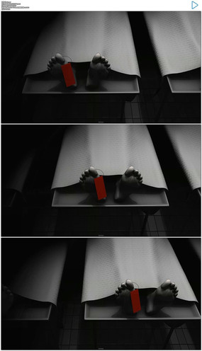 ̫ƽͣʬ3DƵز