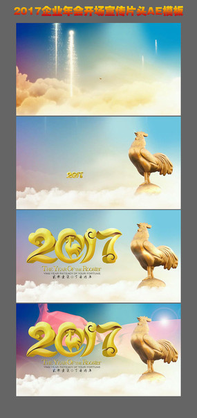 2017ῪƬͷAEģ