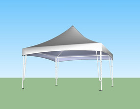 ����֧���ĽǼⶥ����ɡ