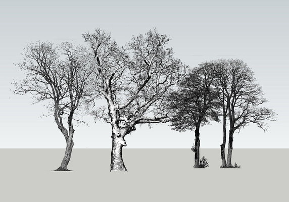 ���ÿ��� skp