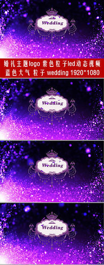 ��ɫ��������logo������Ƶ