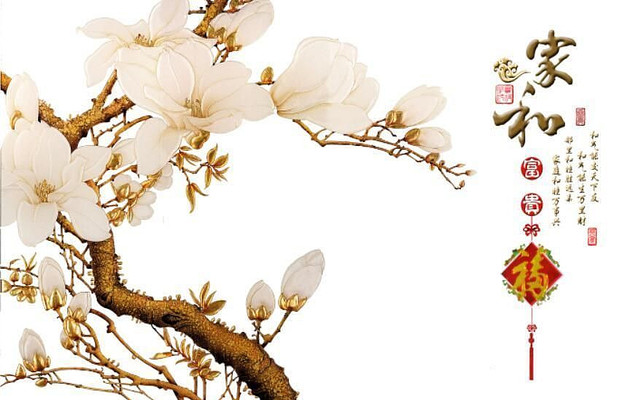 �����ִ�����ǽ PSD