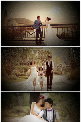 edius�������С������Ƶģ��