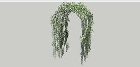 ������ֲ��SUģ