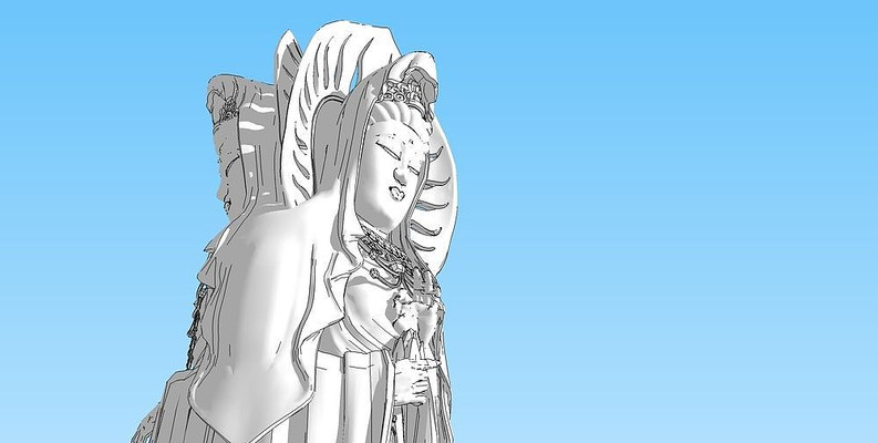 �������� skp