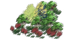 ɽ��ֲ�ﾰ����ֲ