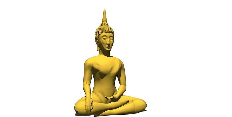 ������������ skp