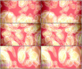 ģ��ϸ�����嶯̬��Ƶ�ز�