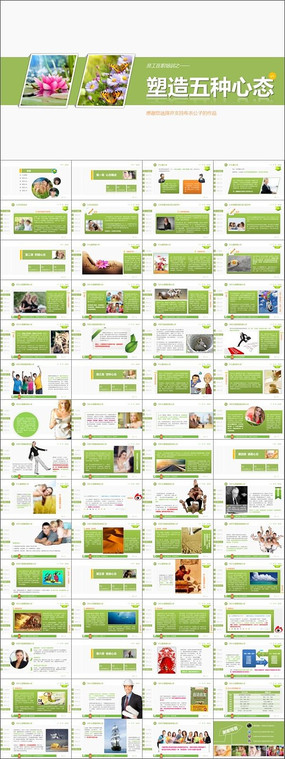 ��ɫ��ˬ��������������̬��ѵPPT�μ�