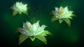 �λ�ѩ������Ƶ