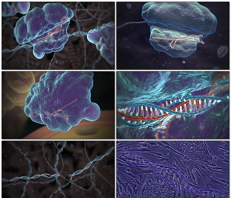 基因DNA重组医疗演示视频 基因DNA重组医疗演示视频