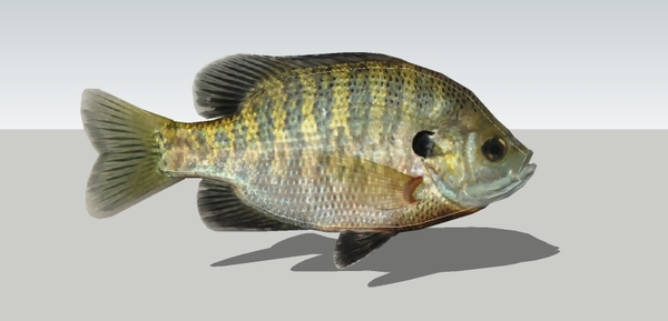 �ȴ������