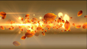 ��ɫ��Ҷ��Ƶ�ز�