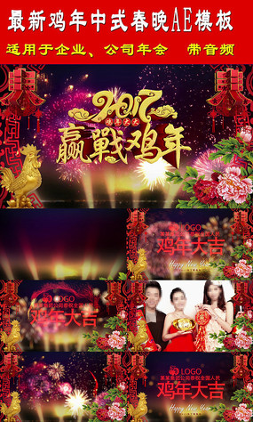 2017괺ʽAEģ