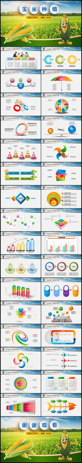  绿色健康玉米ppt动态模板