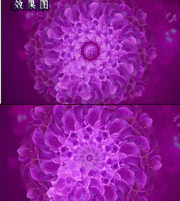 ����Ψ������