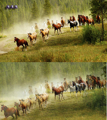 ��ҳͷͼ�����ز�